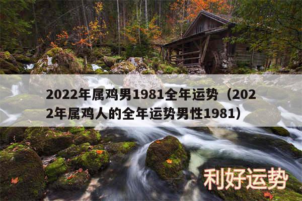 2024年属鸡男1981全年运势以及2024年属鸡人的全年运势男性1981