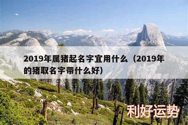 2019年属猪起名字宜用什么以及2019年的猪取名字带什么好