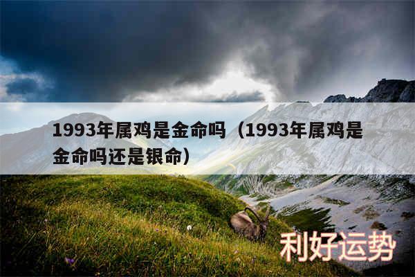 1993年属鸡是金命吗以及1993年属鸡是金命吗还是银命