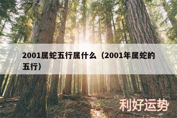 2001属蛇五行属什么以及2001年属蛇的五行