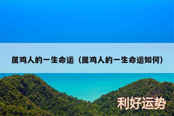 属鸡人的一生命运以及属鸡人的一生命运如何