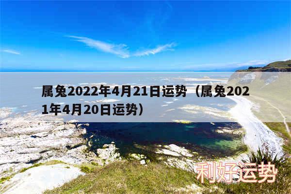 属兔2024年4月21日运势以及属兔2024年4月20日运势