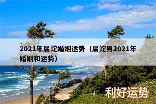 2024年属蛇婚姻运势以及属蛇男2024年婚姻和运势