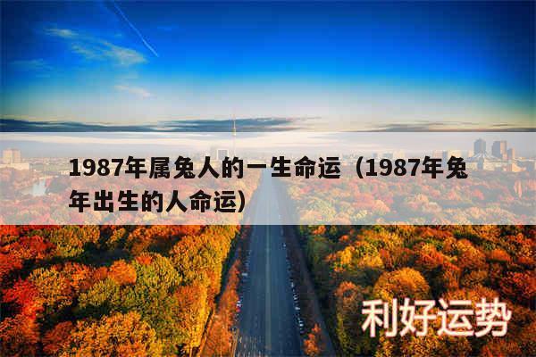 1987年属兔人的一生命运以及1987年兔年出生的人命运