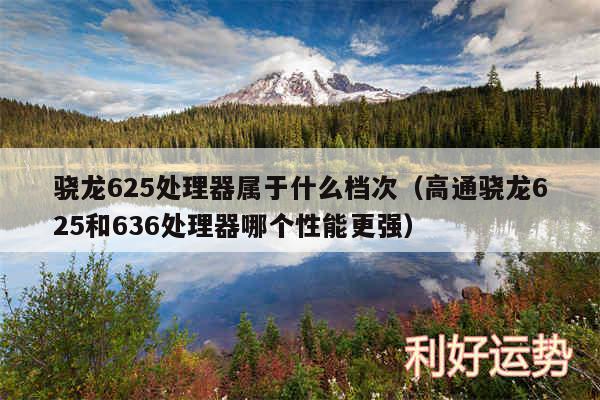 骁龙625处理器属于什么档次以及高通骁龙625和636处理器哪个性能更强