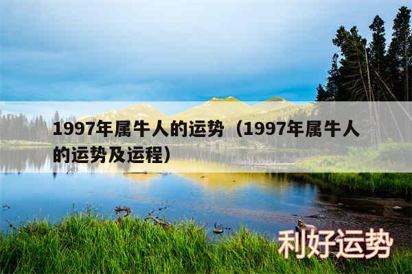 1997年属牛人的运势以及1997年属牛人的运势及运程