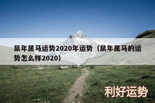 鼠年属马运势2020年运势以及鼠年属马的运势怎么样2020