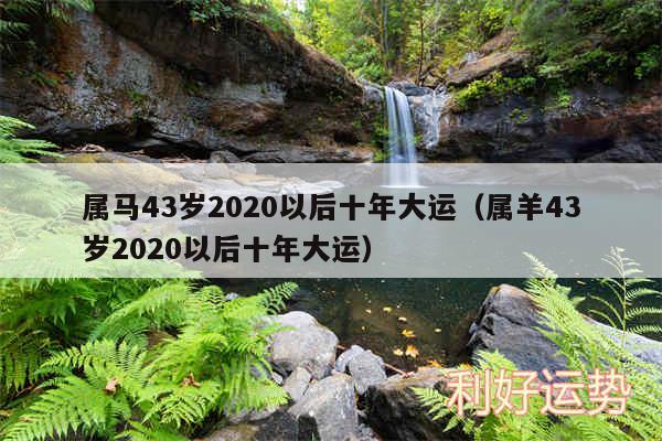 属马43岁2020以后十年大运以及属羊43岁2020以后十年大运