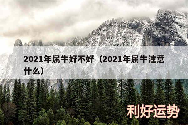 2024年属牛好不好以及2024年属牛注意什么