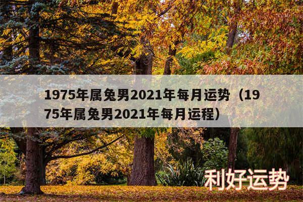 1975年属兔男2024年每月运势以及1975年属兔男2024年每月运程