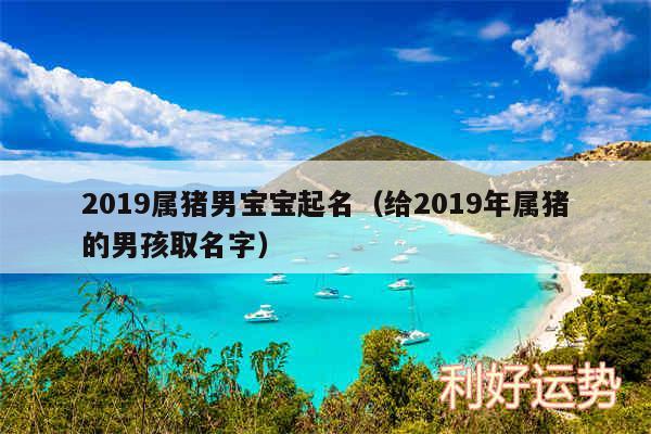 2019属猪男宝宝起名以及给2019年属猪的男孩取名字