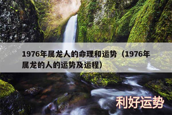 1976年属龙人的命理和运势以及1976年属龙的人的运势及运程