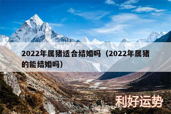 2024年属猪适合结婚吗以及2024年属猪的能结婚吗