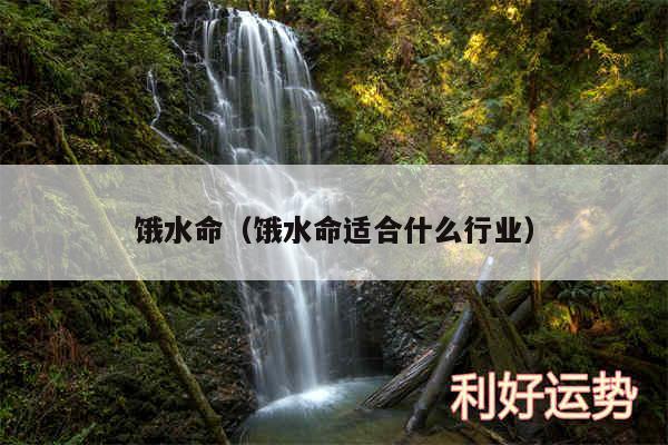 饿水命以及饿水命适合什么行业