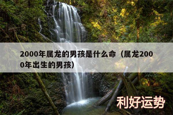 2000年属龙的男孩是什么命以及属龙2000年出生的男孩