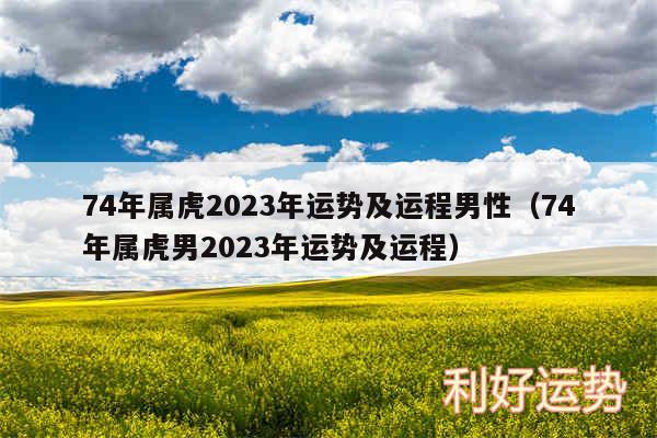 74年属虎2024年运势及运程男性以及74年属虎男2024年运势及运程