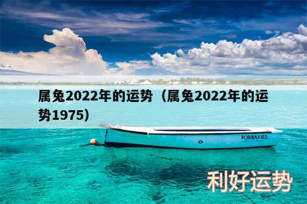 属兔2024年的运势以及属兔2024年的运势1975