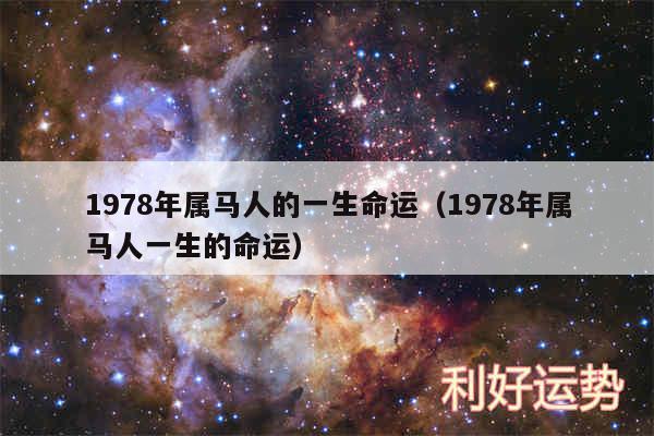 1978年属马人的一生命运以及1978年属马人一生的命运