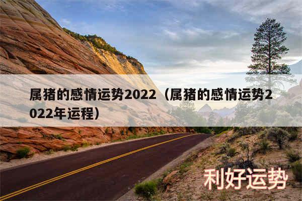 属猪的感情运势2024以及属猪的感情运势2024年运程