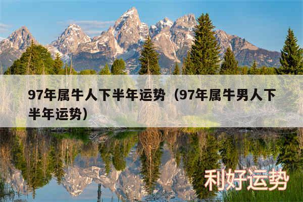 97年属牛人下半年运势以及97年属牛男人下半年运势