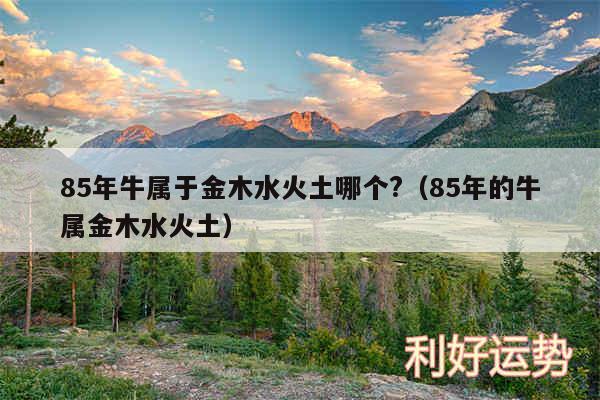 85年牛属于金木水火土哪个?以及85年的牛属金木水火土