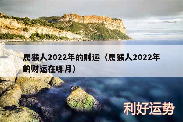 属猴人2024年的财运以及属猴人2024年的财运在哪月