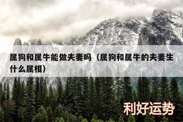 属狗和属牛能做夫妻吗以及属狗和属牛的夫妻生什么属相