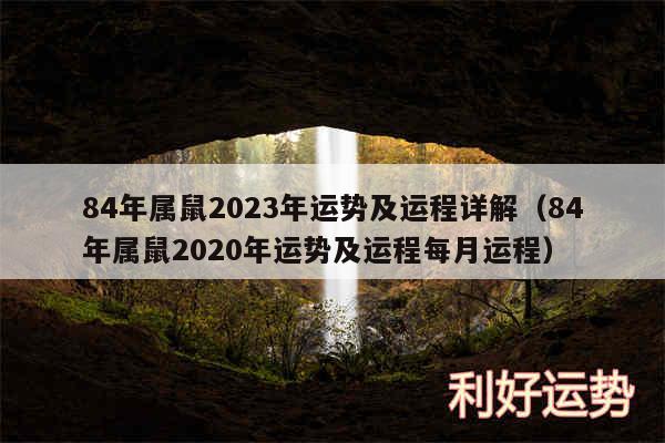 84年属鼠2024年运势及运程详解以及84年属鼠2020年运势及运程每月运程