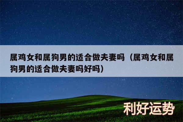 属鸡女和属狗男的适合做夫妻吗以及属鸡女和属狗男的适合做夫妻吗好吗