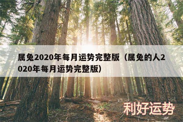 属兔2020年每月运势完整版以及属兔的人2020年每月运势完整版