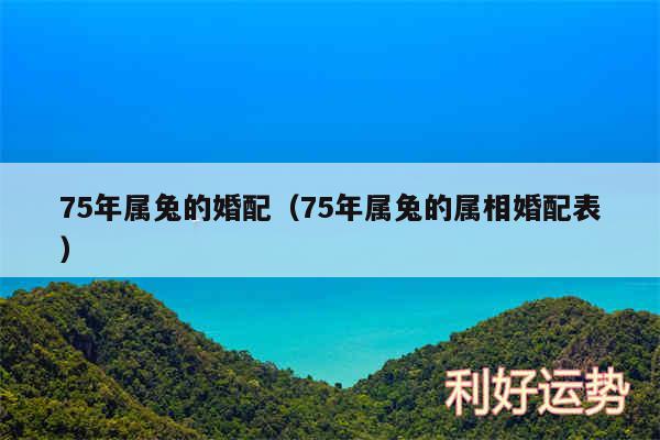 75年属兔的婚配以及75年属兔的属相婚配表