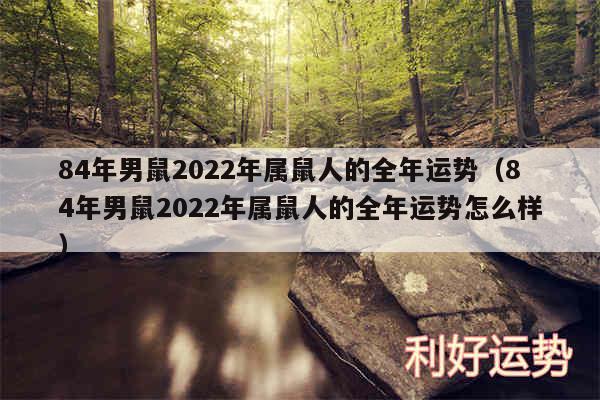 84年男鼠2024年属鼠人的全年运势以及84年男鼠2024年属鼠人的全年运势怎么样