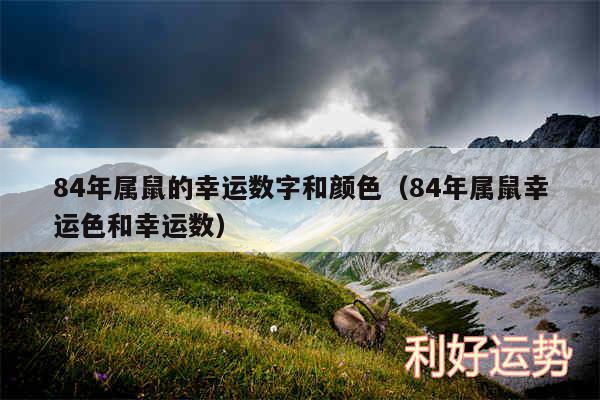 84年属鼠的幸运数字和颜色以及84年属鼠幸运色和幸运数