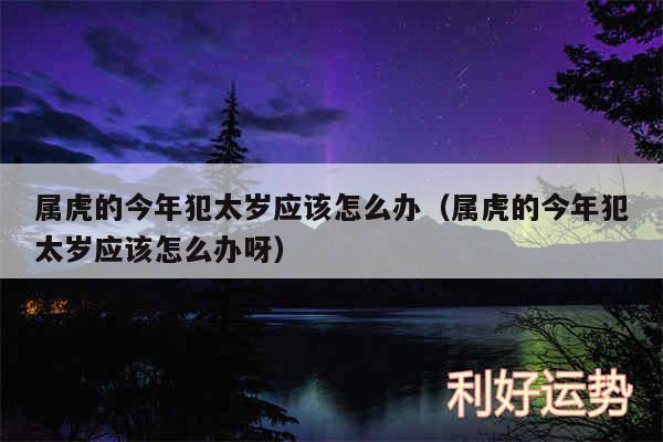 属虎的今年犯太岁应该怎么办以及属虎的今年犯太岁应该怎么办呀