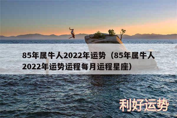 85年属牛人2024年运势以及85年属牛人2024年运势运程每月运程星座