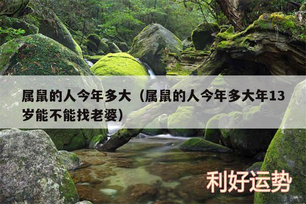 属鼠的人今年多大以及属鼠的人今年多大年13岁能不能找老婆