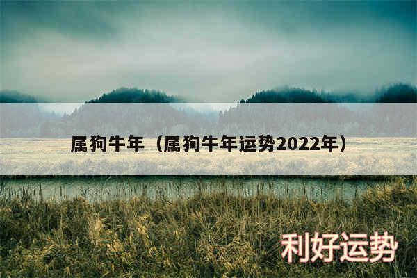 属狗牛年以及属狗牛年运势2024年