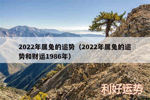 2024年属兔的运势以及2024年属兔的运势和财运1986年