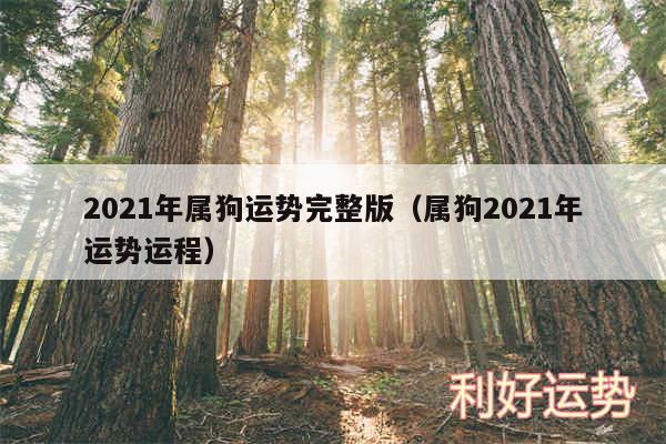 2024年属狗运势完整版以及属狗2024年运势运程