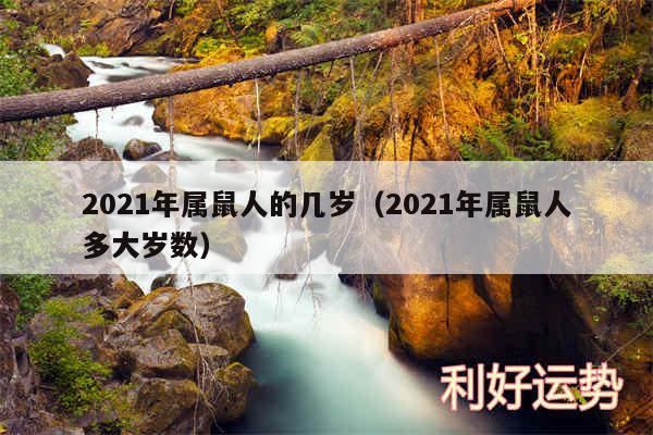 2024年属鼠人的几岁以及2024年属鼠人多大岁数