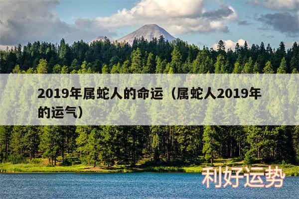 2019年属蛇人的命运以及属蛇人2019年的运气