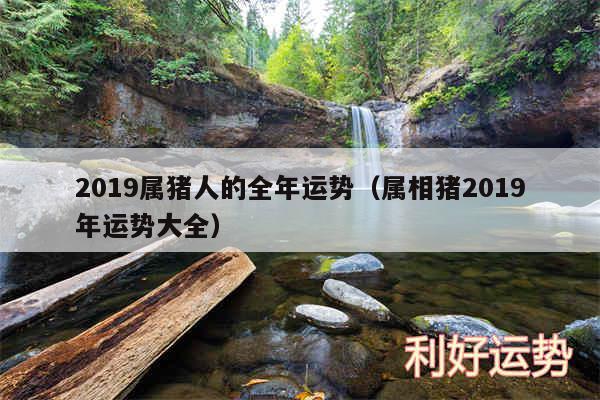 2019属猪人的全年运势以及属相猪2019年运势大全