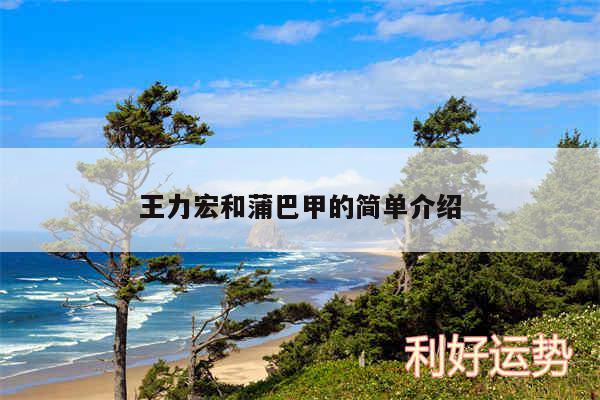 王力宏和蒲巴甲的简单介绍