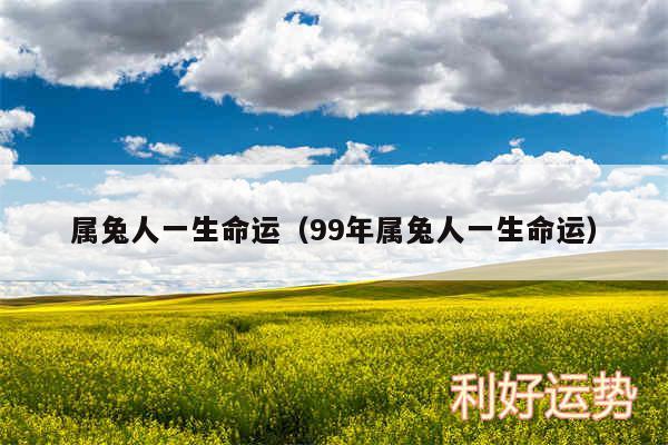 属兔人一生命运以及99年属兔人一生命运