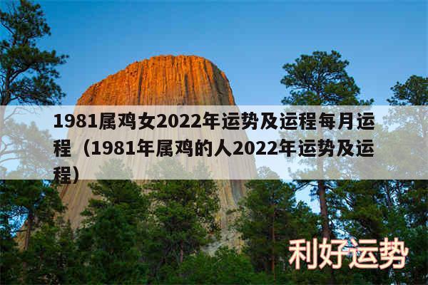 1981属鸡女2024年运势及运程每月运程以及1981年属鸡的人2024年运势及运程