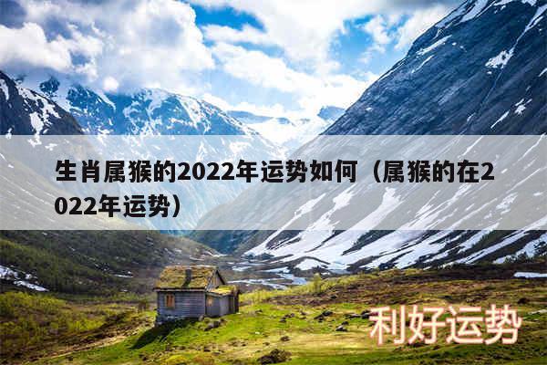 生肖属猴的2024年运势如何以及属猴的在2024年运势