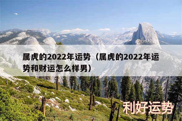 属虎的2024年运势以及属虎的2024年运势和财运怎么样男