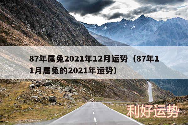 87年属兔2024年12月运势以及87年11月属兔的2024年运势