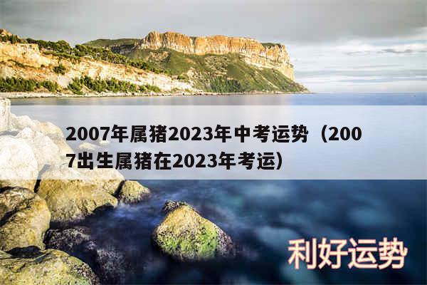 2007年属猪2024年中考运势以及2007出生属猪在2024年考运