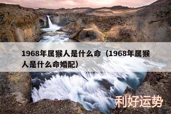 1968年属猴人是什么命以及1968年属猴人是什么命婚配